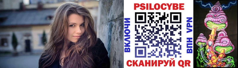 где можно купить   Белореченск  Галлюциногенные грибы Cubensis 
